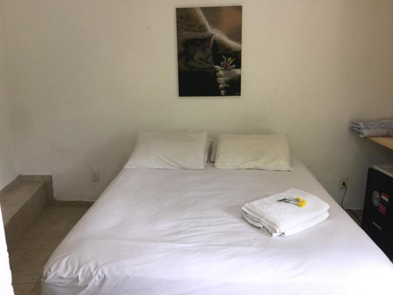 Butterfly Vanazul Guesthouse 里约热内卢 外观 照片